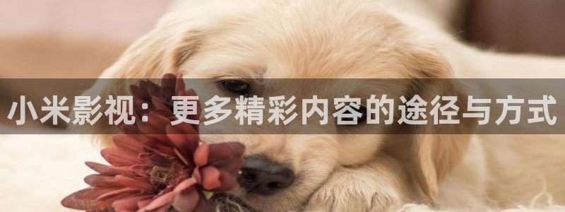 奇米超碰在线：小米影视：更多精彩内容的途径与方式