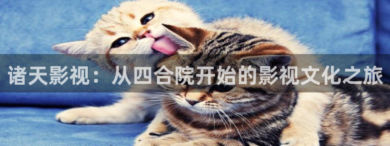 久草超碰在线播放：诸天影视：从四合院开始的影视文化之旅