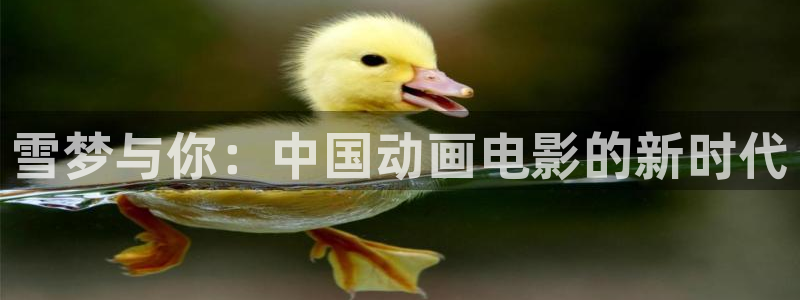 978超碰：雪梦与你：中国动画电影的新时代