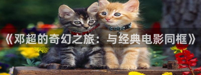 超碰在色