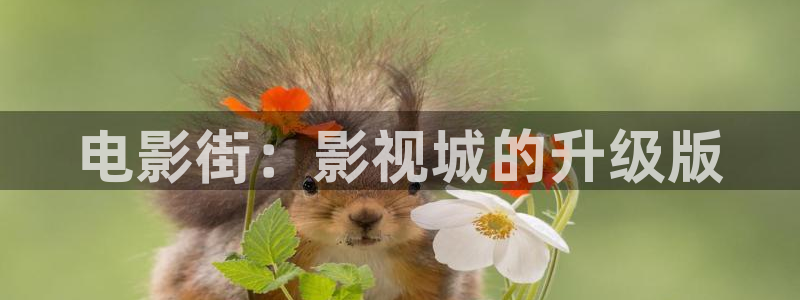 c超碰在线